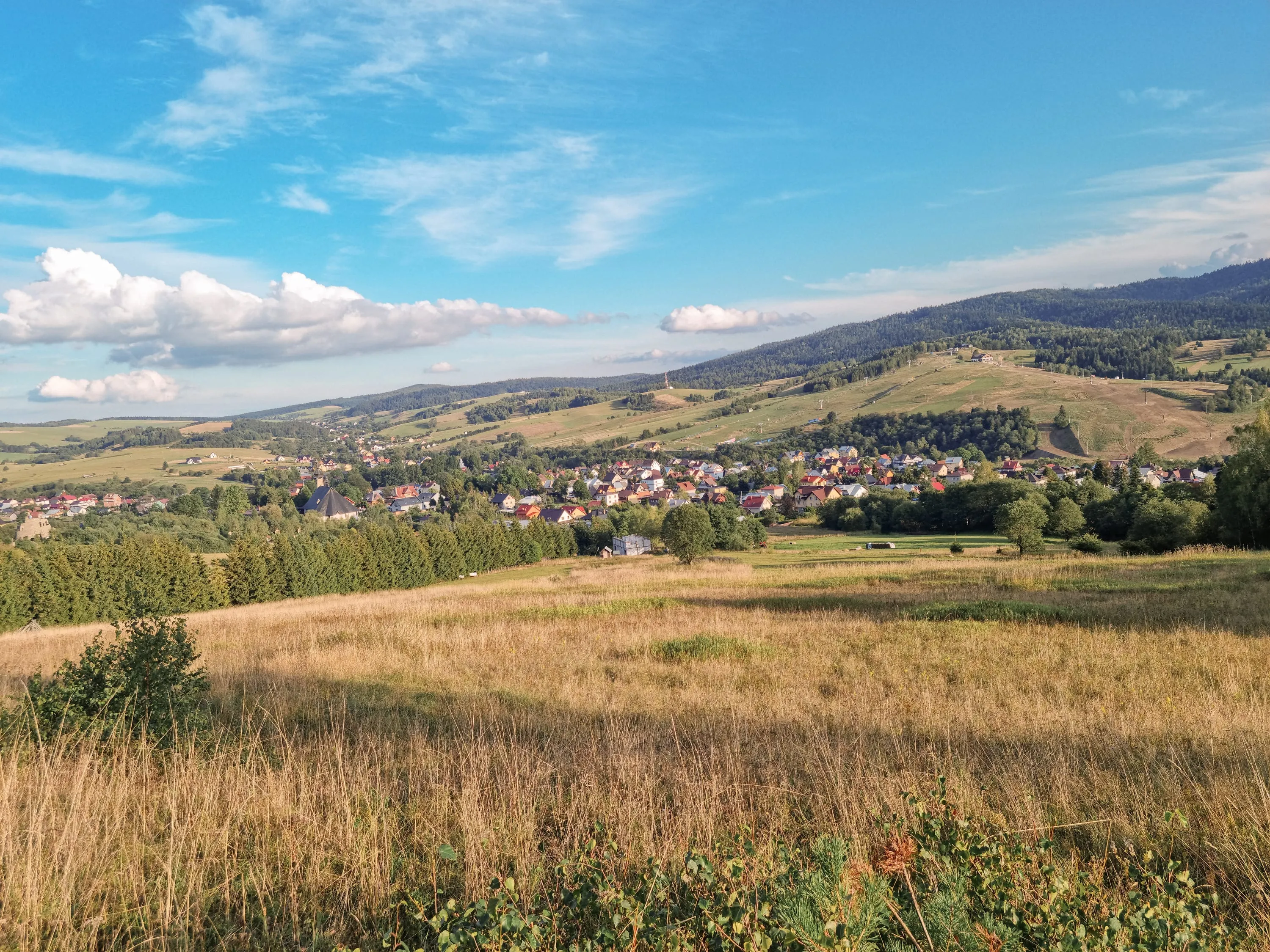 Panorama Tylicza z widokiem na zabudowania i wzgórza