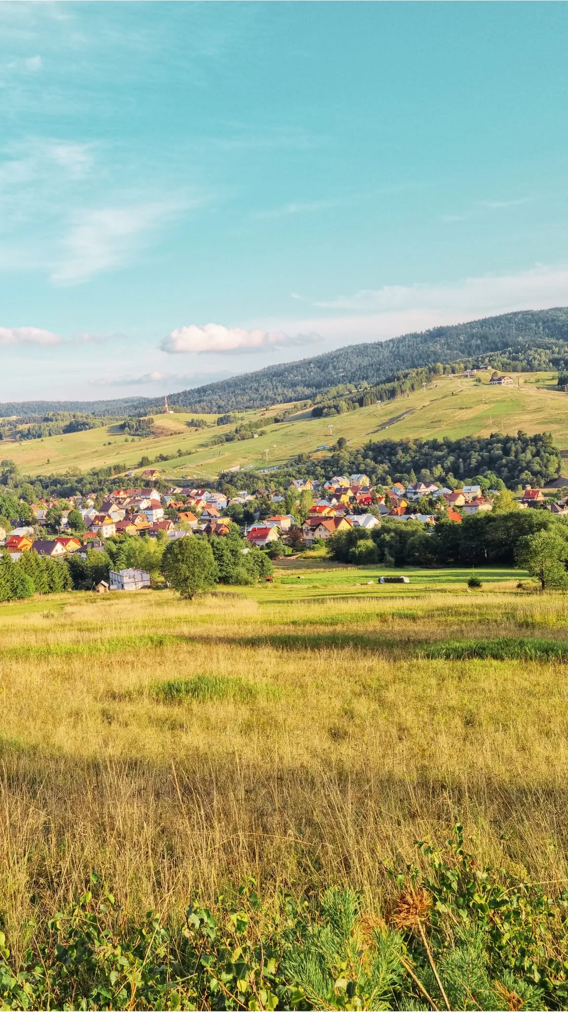 Widok na Tylicz, łąki i wzgórza Beskidu Sądeckiego